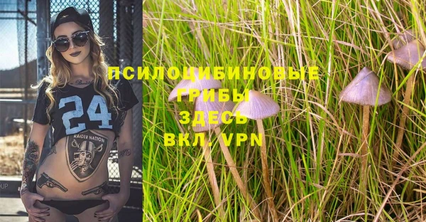 MDMA Premium VHQ Алексин
