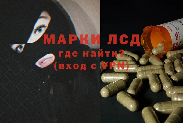 ПСИЛОЦИБИНОВЫЕ ГРИБЫ Краснослободск