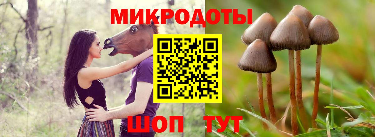 LSD-25  ГАШИШ  Экстази  МЕТ  МЕФ   Вход с VPN  Новошахтинск  Бошки Шишки 